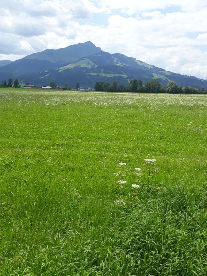 Appartement Muellner Kirchdorf in Tirol Zewnętrze zdjęcie